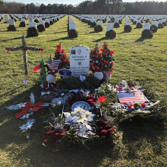 Meet your Posher, Cordie - Picture 1 of 1